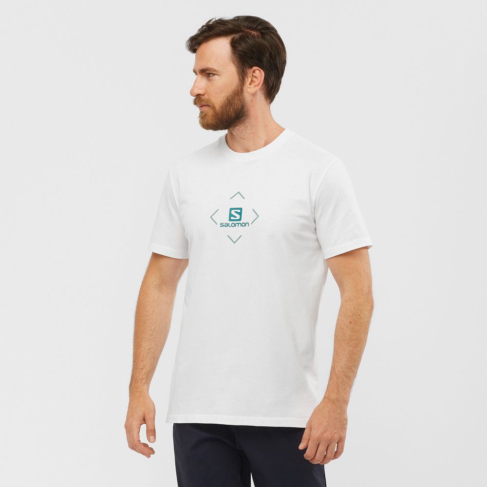 Camisetas Salomon Hombre Blancas - Salomon Argentina SALOMON COTTON M,248105-LGK